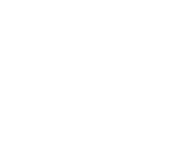 ELANE BORGES CORRETORA